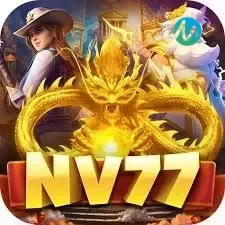 nv77